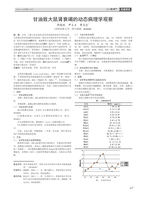 甘油致大鼠肾衰竭的动态病理学观察