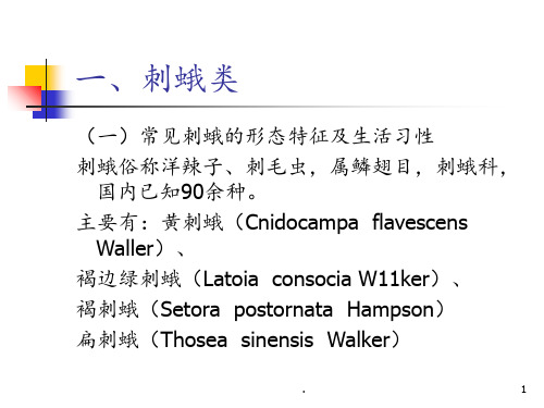 园林植物主要虫害及其防治PPT课件