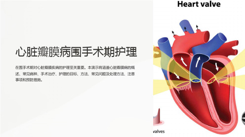 心脏瓣膜病围手术期护理