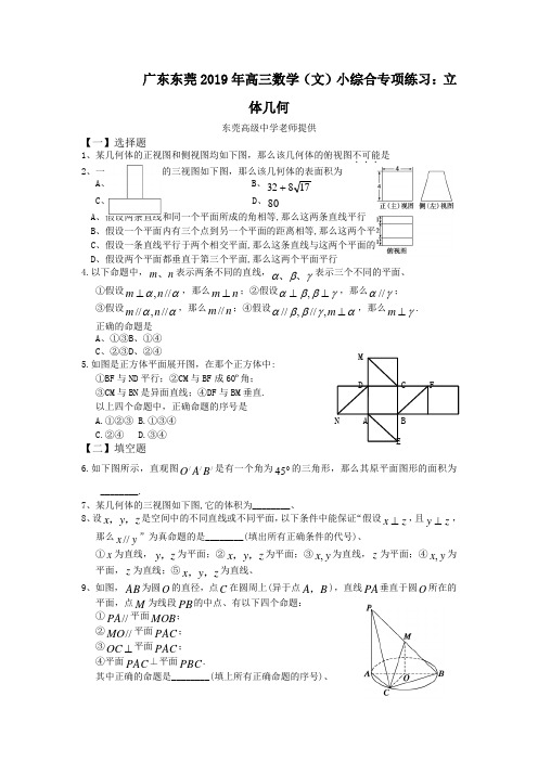 广东东莞2019年高三数学(文)小综合专项练习：立体几何