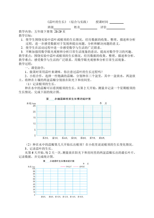 《蒜叶的生长》(综合与实践)教案