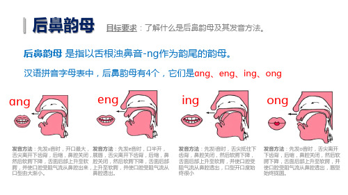 「汉语拼音字母教学课件」 什么是后鼻韵母