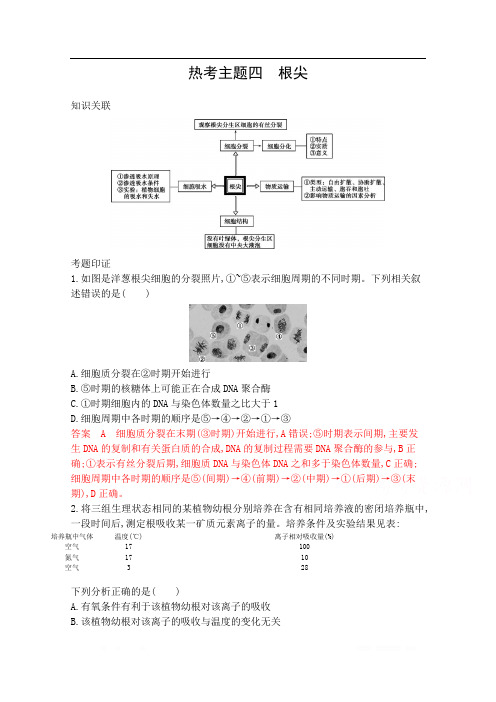 2020届高考生物山东版二轮复习训练题：第二篇 热考主题夺分必破 热考主题四 根尖 