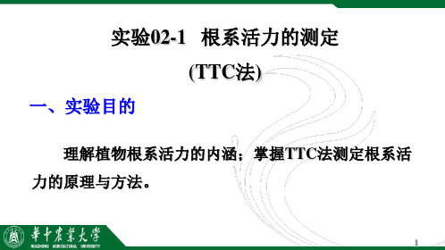 生理实验02-TTC法测定根系活力+光合因子