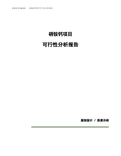 硝铵钙项目可行性分析报告(模板参考范文)