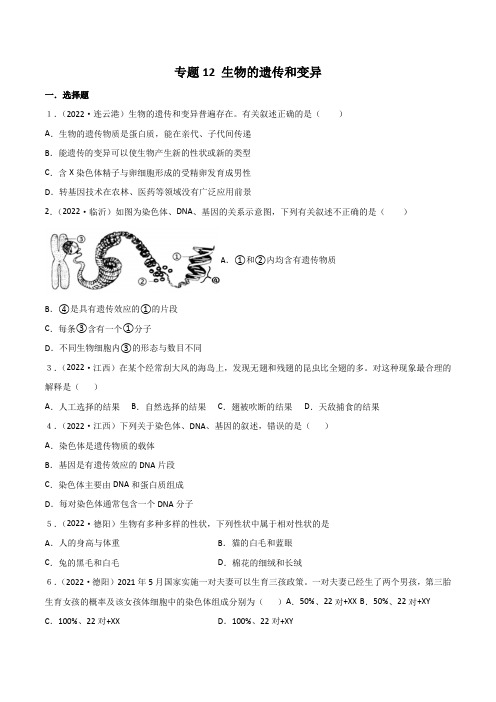 2022年全国中考生物真题(江苏河南广东四川湖南等)分项汇编专题12 生物的遗传和变异(含详解)