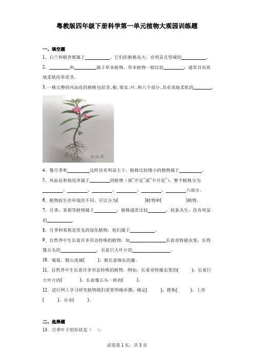 粤教版四年级下册科学第一单元植物大观园训练题