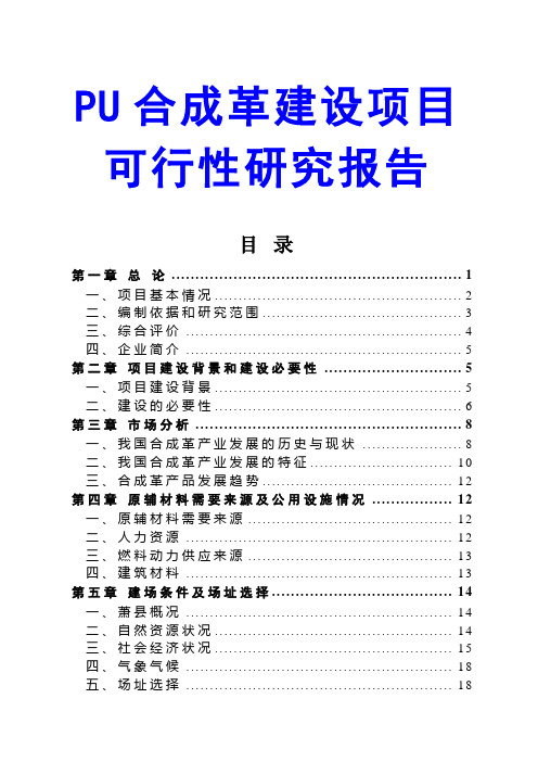 PU合成革建设项目可行性研究报告