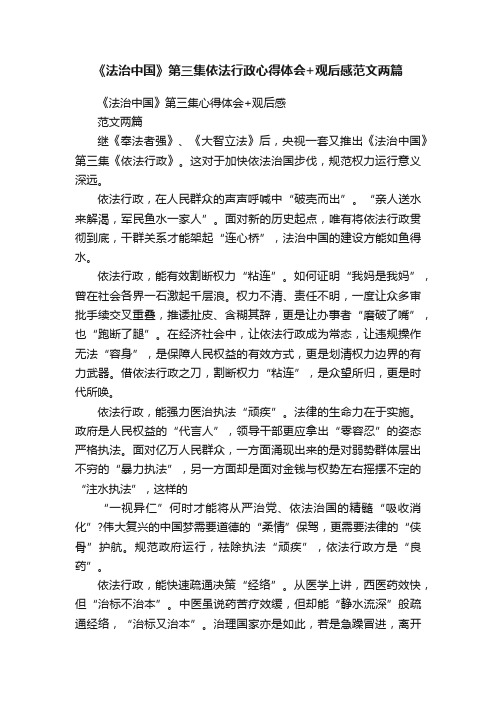 《法治中国》第三集依法行政心得体会+观后感范文两篇