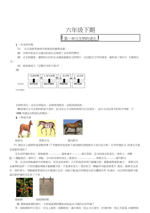 六年级自然科学复习资料.docx