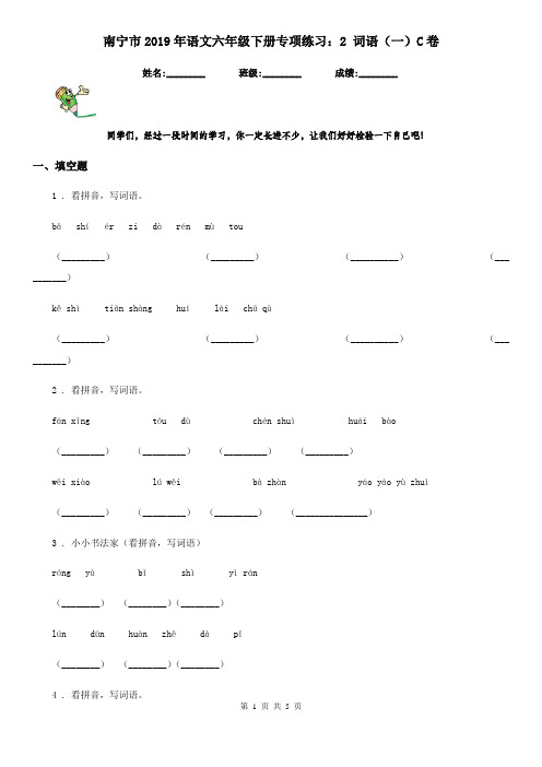 南宁市2019年语文六年级下册专项练习：2 词语(一)C卷