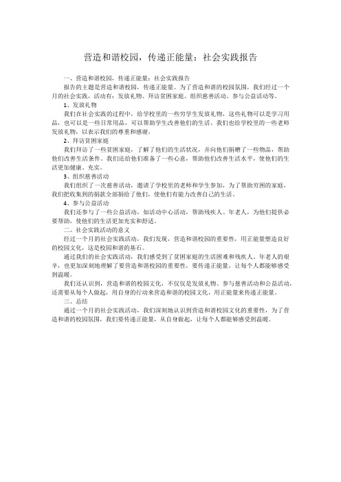 营造和谐校园,传递正能量：社会实践报告