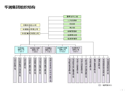 华润置地组织管控