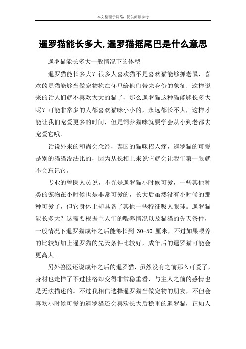 暹罗猫能长多大,暹罗猫摇尾巴是什么意思