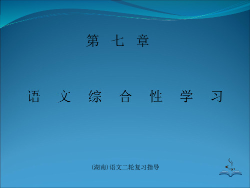 (湖南)语文二轮复习指导(第七章)