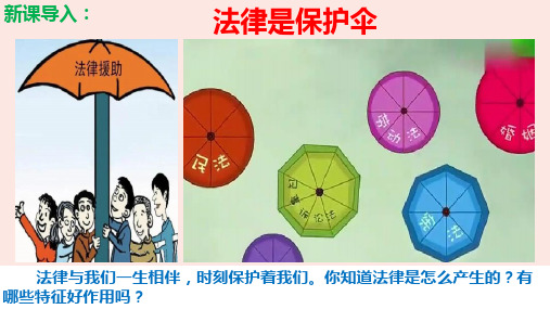 9.2 法律保障生活 课件(28张PPT)-2022-2023学年部编版道德与法治七年级下册