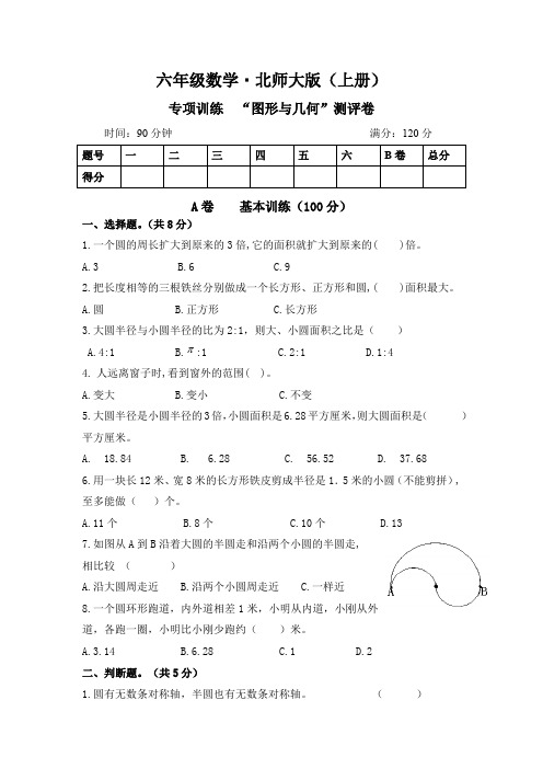 10.小学数学(六上)图形与几何专项训练试卷