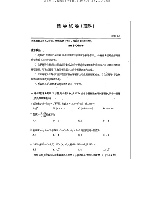 湖北省2020届高三上学期期末考试数学(理)试卷PDF版含答案