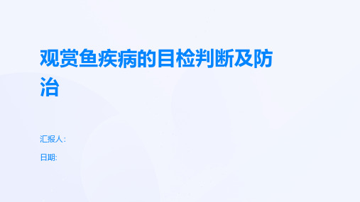 观赏鱼疾病的目检判断及防治