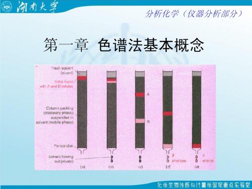 第10章 色谱分析基本概念