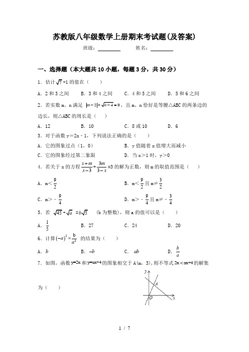 苏教版八年级数学上册期末考试题(及答案)