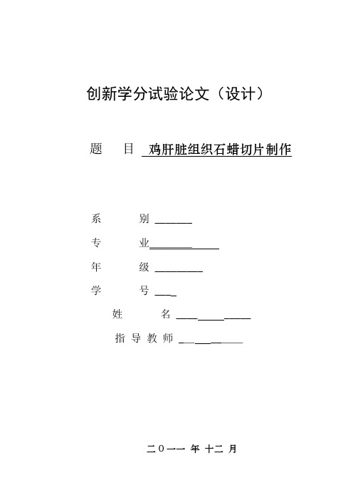 鸡睾丸组织切片