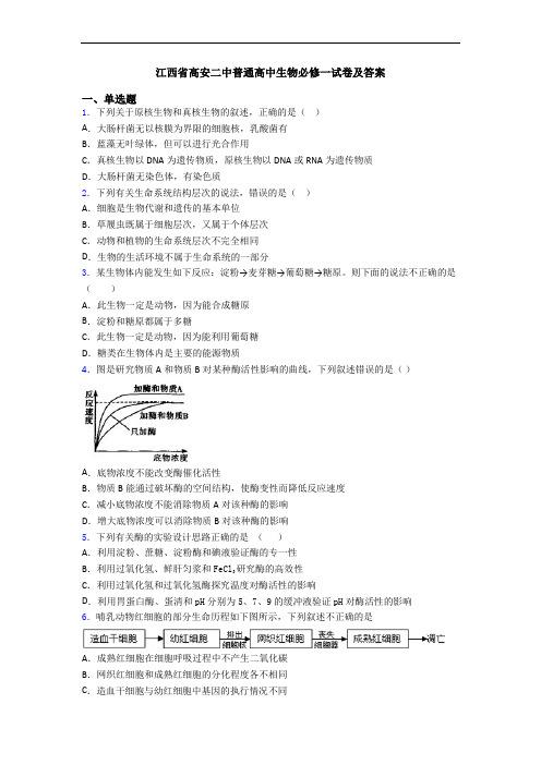 江西省高安二中普通高中生物必修一试卷及答案