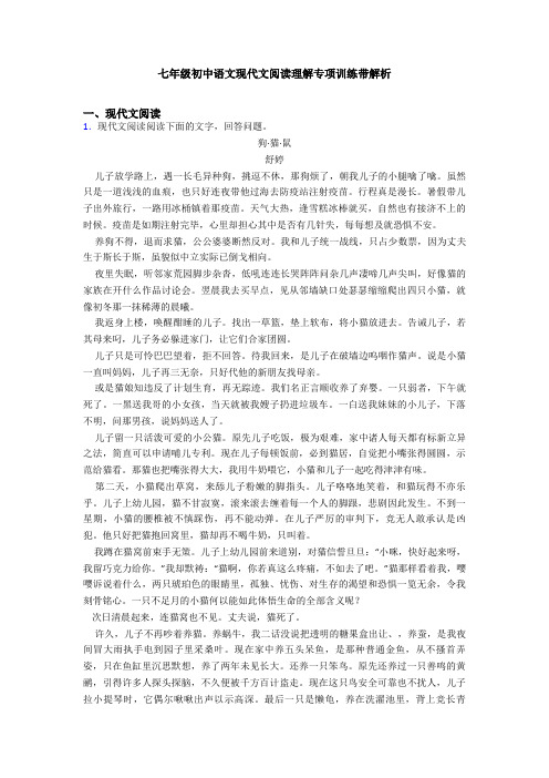 七年级初中语文现代文阅读理解专项训练带解析