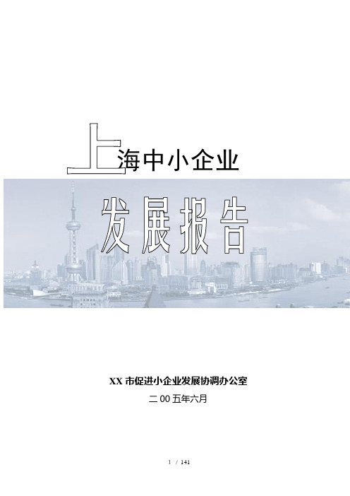 上海中小企业发展报告(doc148页)