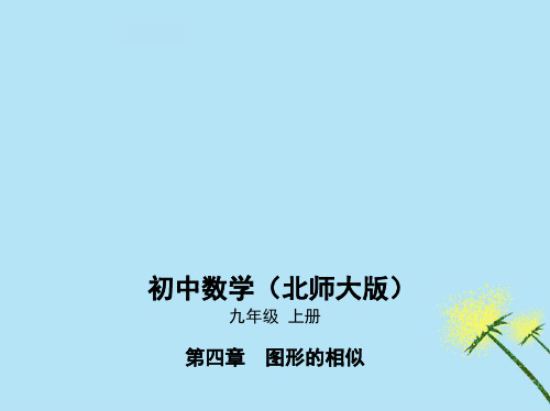 (赛课课件)北师大版九年级数学上册《利用相似三角形测高》