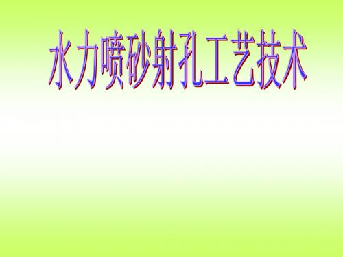 水力喷砂射孔技术介绍PPT课件