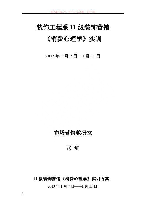 消费心理学实训计划