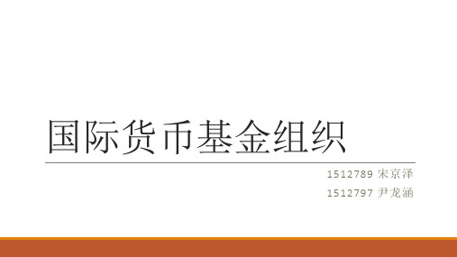 国际货币基金组织展示