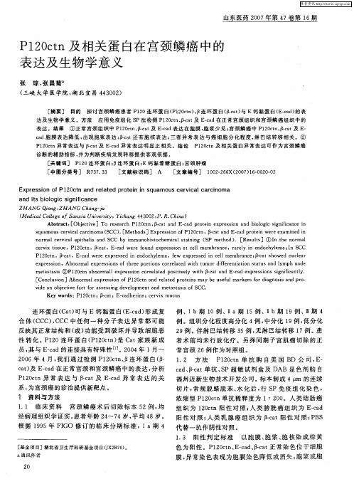 P120ctn及相关蛋白在宫颈鳞癌中的表达及生物学意义