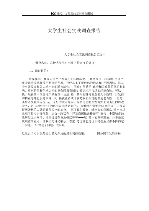 2019大学生社会实践调查报告.doc