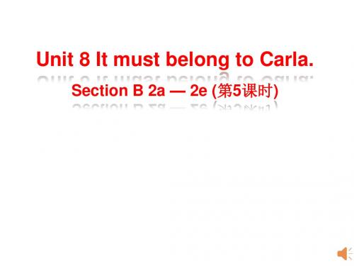 新目标九年级Unit8 Section B 2a-2e课件(共19张PPT)