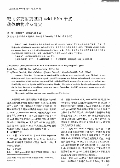 靶向多药耐药基因mdr1 RNA干扰载体的构建及鉴定