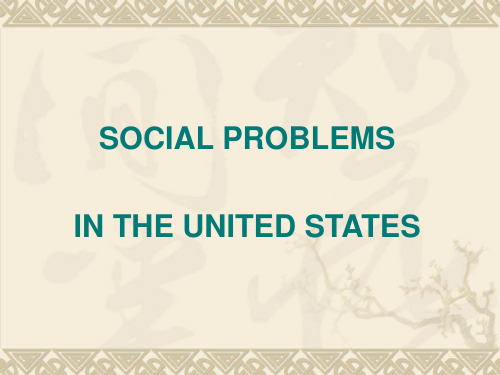 美国存在的社会问题social problems in the U.S.