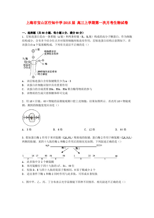 上海市宝山区行知中学2015届高三生物上学期第一次月考试卷(含解析)