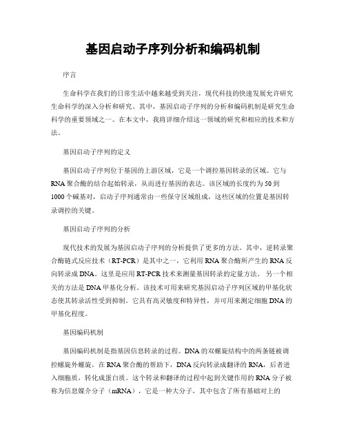 基因启动子序列分析和编码机制