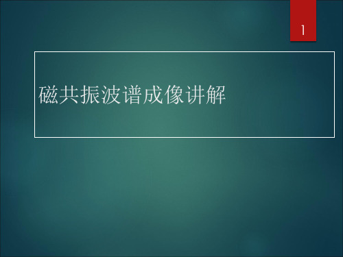 磁共振脑功能成像ppt课件