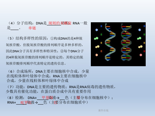 2020高考生物二轮复习第1章细胞的分子组成课件_2