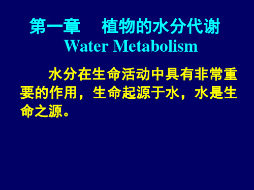 植物生理学第1章   水分代谢