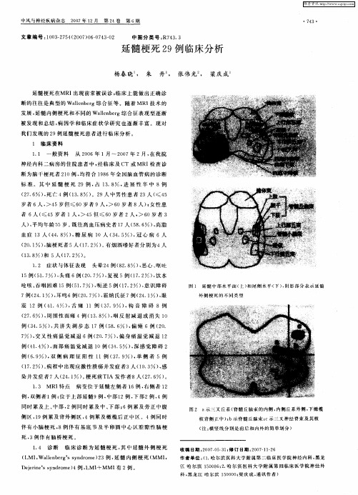 延髓梗死29例临床分析