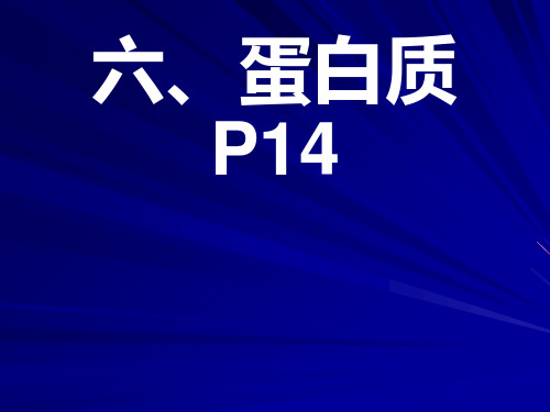 高中生物蛋白质核酸ppt课件