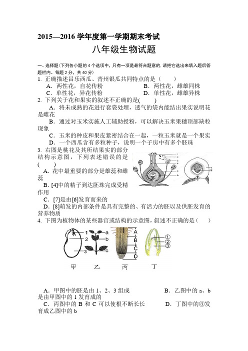 山东省济宁市2015-2016学年八年级生物上册期末试题