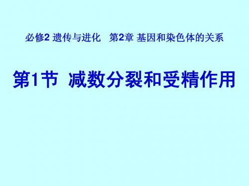 生物必修2第二章第一节