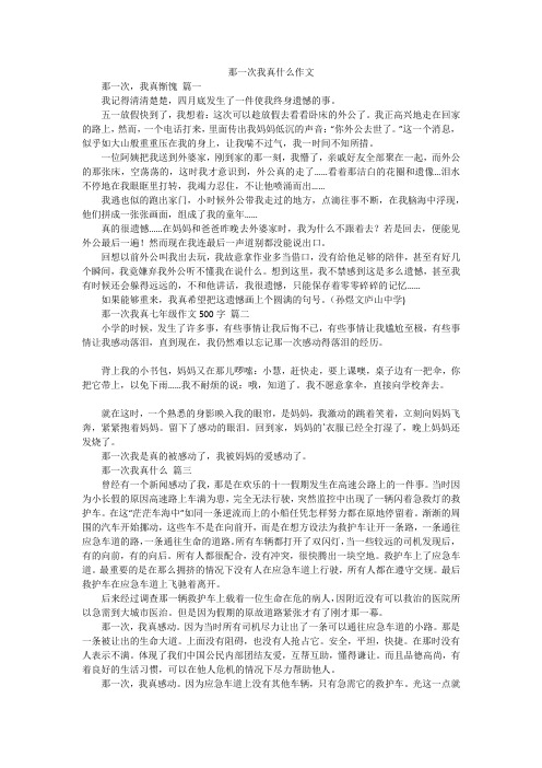 那一次我真什么作文