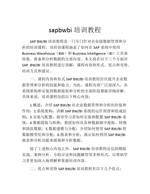 sapbwbi培训教程