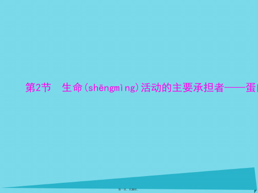 高考生物一轮总复习第2章第2节生命活动的主要承担者蛋白质课件(必修1)
